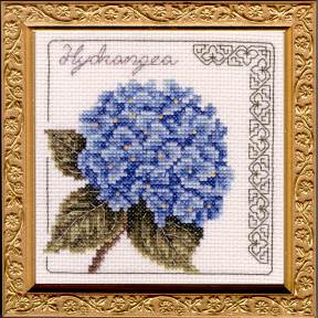Hydrangea Leaflet